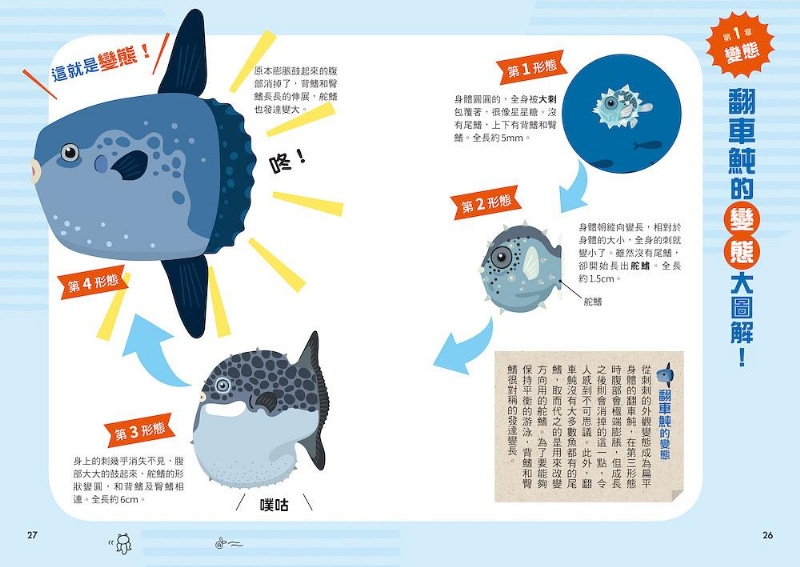 好奇孩子大探索：變態・變身・變異！我們是機智的海洋生物